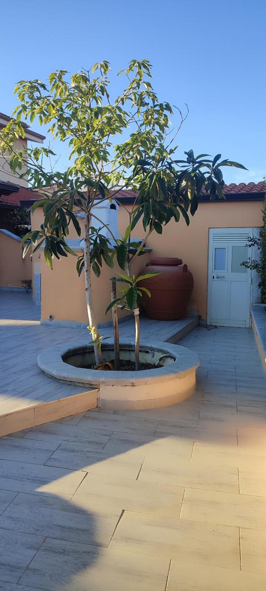 Villetta Aurora Villaggio Porto Ada A 2 Passi Dal Mare Pizzo  Extérieur photo