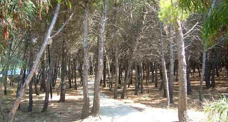 Villetta Aurora Villaggio Porto Ada A 2 Passi Dal Mare Pizzo  Extérieur photo